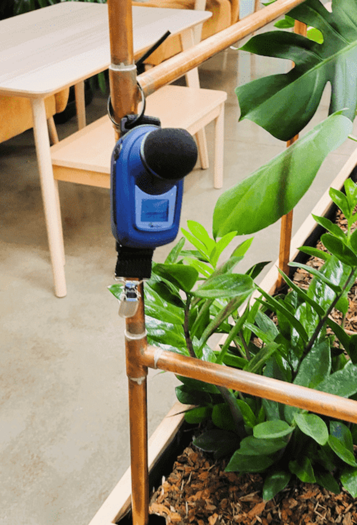 Dosimeter on Planter